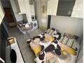 Image du bien UBI445235540